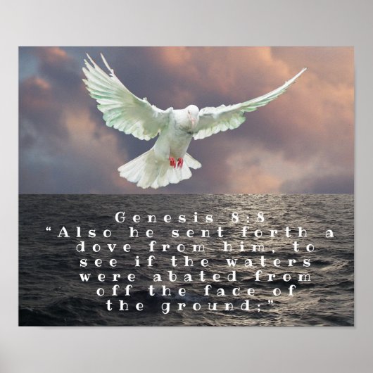 GENESIS 8:8 POSTER (Voorkant)