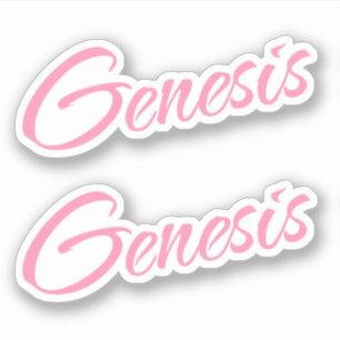 Genesis Decoratieve Naam in Roze x2 Sticker