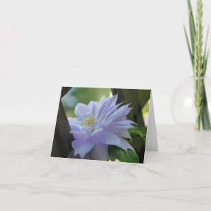 Geneste Clematis Bloem Fotografie  Notitiekaartje