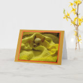 Genesteld Wenskaart Chihuahua Kaart (Gele Bloem)