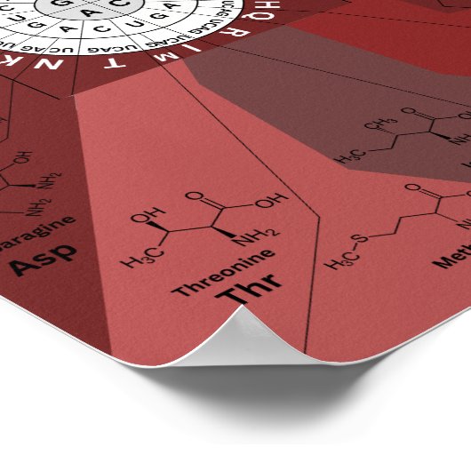 Genetisch codon-kaartwiel van aminozuren in bruin poster (Hoek)