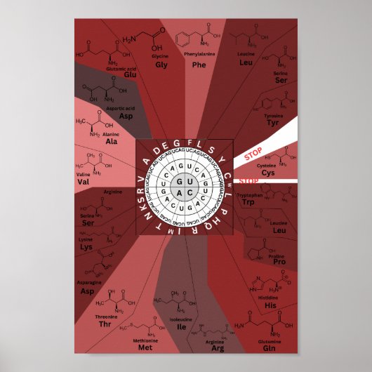 Genetisch codon-kaartwiel van aminozuren in bruin poster (Voorkant)