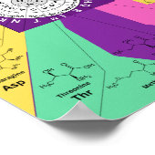 Genetisch codon-kaartwiel van aminozuren poster (Hoek)
