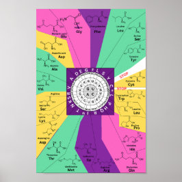 Genetisch codon-kaartwiel van aminozuren poster