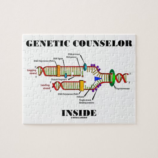 Genetische adviseur Inside (DNA-replicatie) Legpuzzel (Horizontaal)