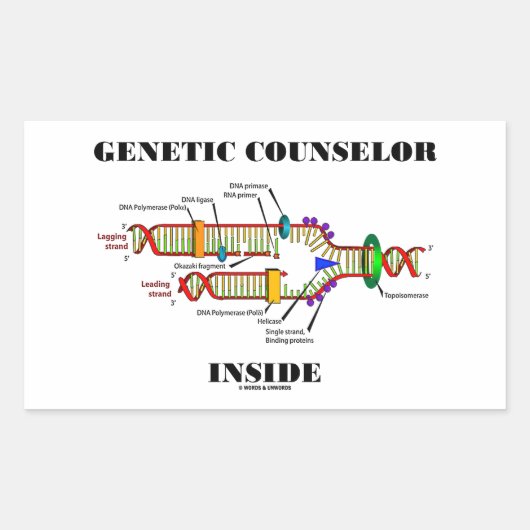 Genetische adviseur Inside (DNA-replicatie) Rechthoekige Sticker (Voorkant)