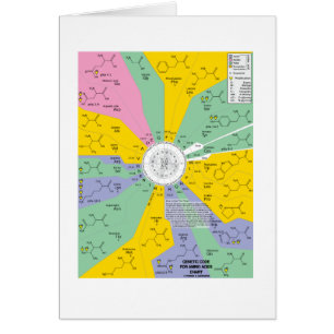 Genetische code voor aminozuren (kaartwiel)