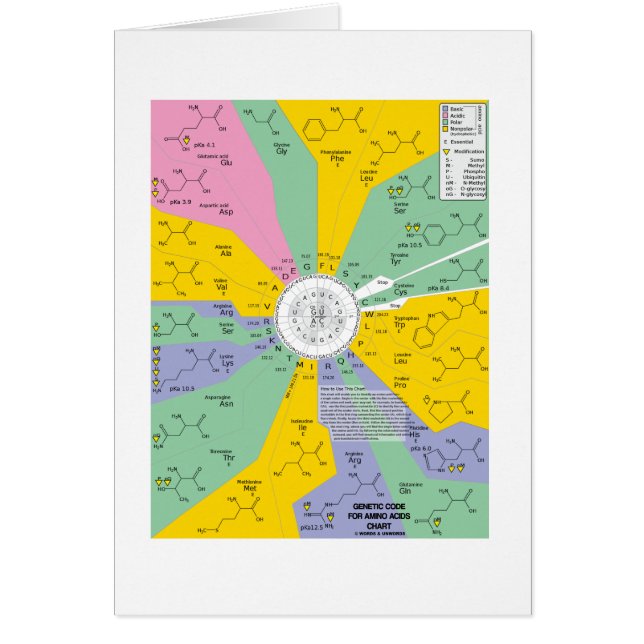 Genetische code voor aminozuren (kaartwiel) (Voorkant)