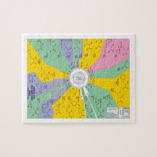 Genetische code voor aminozuren (kaartwiel) legpuzzel (Horizontaal)