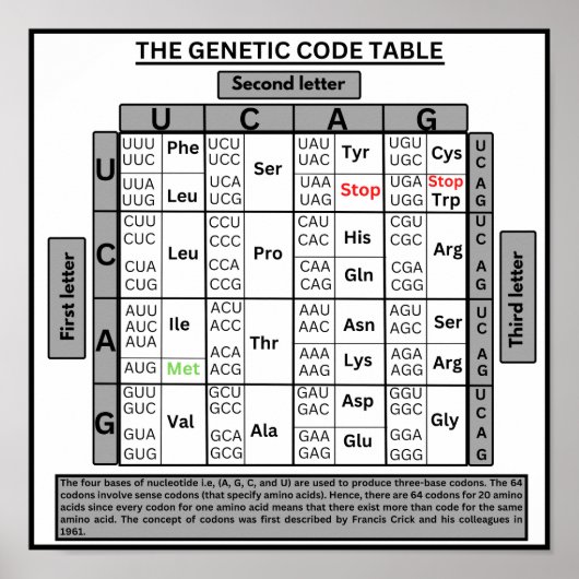 Genetische codetabel poster (Voorkant)