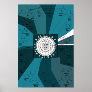 Genetische codetabel wiel van aminozuren blauw poster