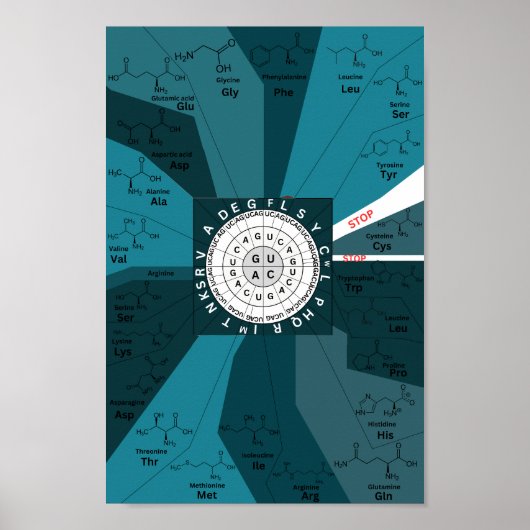 Genetische codetabel wiel van aminozuren blauw poster (Voorkant)