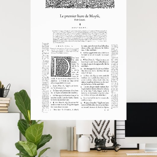 Genève 1564 poster (Thuiskantoor)