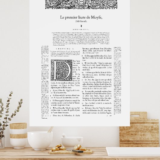 Genève 1564 poster (Keuken)