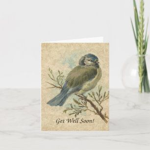 Genezend binnenkort, Vintage Bluetit vogel Kaart