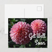 Genezend Dahlia Valley Porcupine #1 Ansichtkaart Briefkaart (Voorkant / Achterkant)