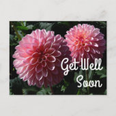Genezende groet Dahlia Valley Porcupine #1 Ansicht Briefkaart (Voorkant)