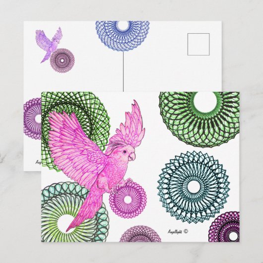 Genezende Parkiet Briefkaart (Voorkant / Achterkant)