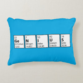 Geniaal Afstuderen Accent Kussen