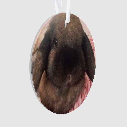 Geniet ervan dat deze kleine man aan je boom hangt ornament (voorkant)