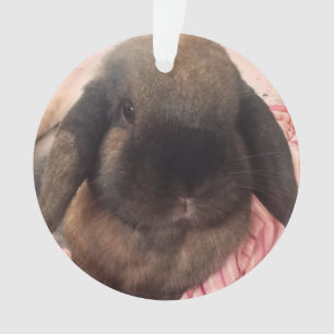 Geniet ervan dat deze kleine man aan je boom hangt ornament