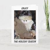 GENIET OOK HET HOLIDAY EN HET NIEUWE JAAR FEESTDAGEN KAART (Voorkant)