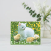 Geniet van de kleine dingen die dieren koken briefkaart (Staand voorkant)