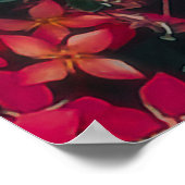 Geniet van de kleine genoegens van het leven poster (Hoek)