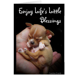 Geniet van de kleine zegeningen van het leven