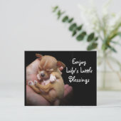 Geniet van de kleine zegeningen van het leven briefkaart (Staand voorkant)