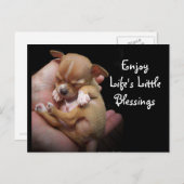 Geniet van de kleine zegeningen van het leven briefkaart (Voorkant / Achterkant)