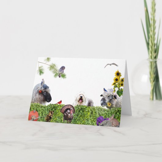 Geniet van de overvloed aan aarde :HappyThanksgivi Feestdagen Kaart (Voorkant)