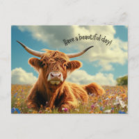 Geniet van een prachtige Highland Koe
