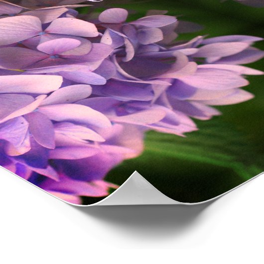 Geniet van eenvoudige dingen Hydrangea Abstract Poster (Hoek)