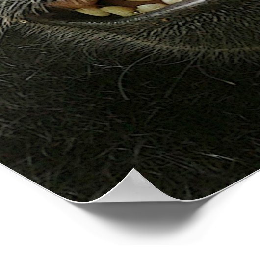 Geniet van glimlachen in Macaque Poster (Hoek)