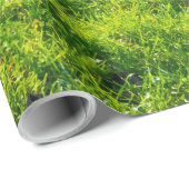 Geniet van groenachtig afdrukpapier cadeaupapier (Rol Hoek)