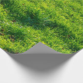 Geniet van groenachtig afdrukpapier cadeaupapier (Hoek)