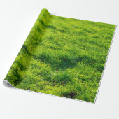 Geniet van groenachtig afdrukpapier cadeaupapier (Uitgerold)