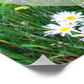 Geniet van het leven poster (Hoek)