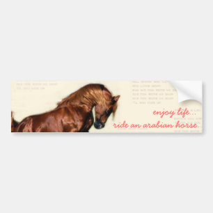 geniet van het leven...rijd op een Arabische paard Bumpersticker