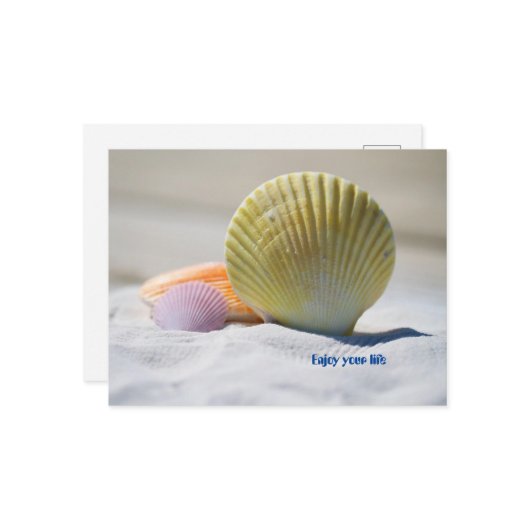 Geniet van je leven briefkaart (Voorkant / Achterkant in situ)