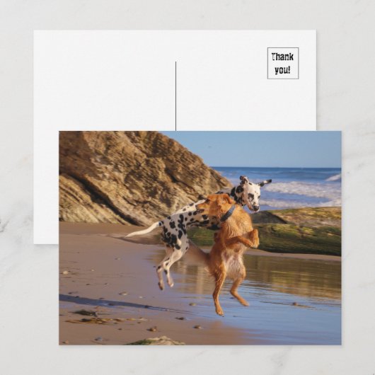 Geniet van joden! briefkaart (Voorkant / Achterkant)