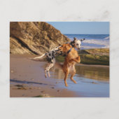 Geniet van joden! briefkaart (Voorkant)