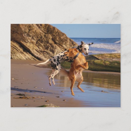 Geniet van joden! briefkaart (Voorkant)