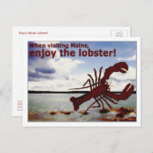 Geniet van Maine Lobster! Briefkaart (Voorkant / Achterkant)