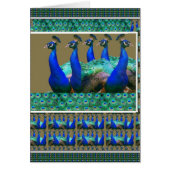 Geniet van:  PEaCOCK n Feathers Art Graphics (Voorkant)