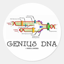 Genius DNA (DNA Replication Humor) Ronde Sticker