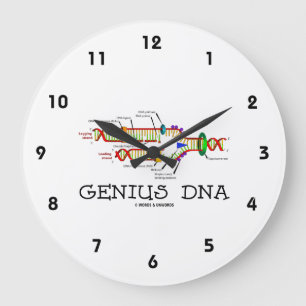 Genius DNA Molecular Biology Humor Grote Klok