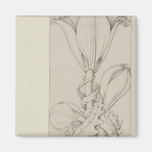 Genius van de Lelie, 1809 Magneet (Voorkant)