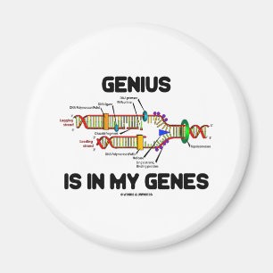Genius zit in mijn genen (DNA-replicatie) Magneet
